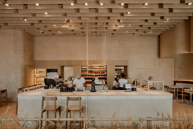 Krume Bäcker / Mallol - Fotografía interior, Café, Sillas