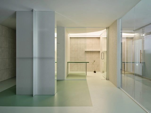 Palo Verde Aesthetic (PV Aesthetic) / Studio GIMGEOSIL - Interior Design