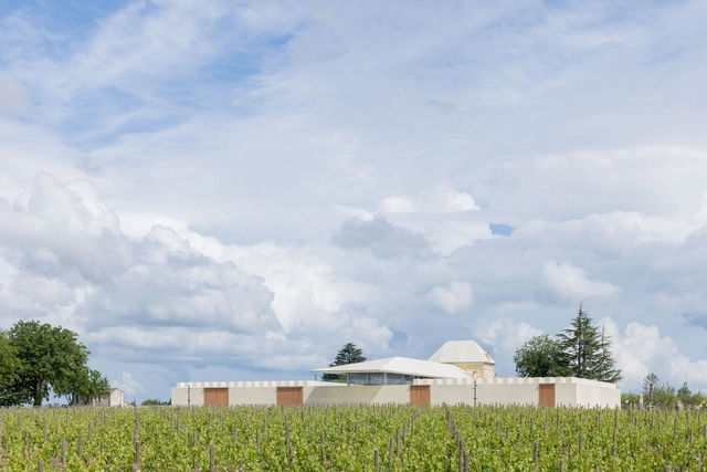 Bélair-Monange 酒庄 / 赫尔佐格 & 德梅隆 - 可持续发展