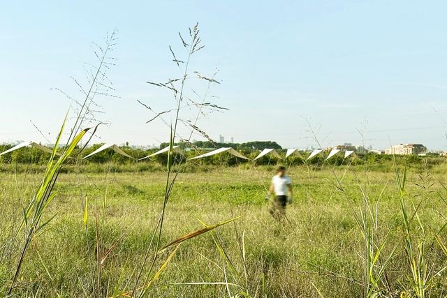 Pabellón 100 Metros Lineales / Pablo Paradinas Sastre + Eletres Studio - Instalaciones Y Estructuras