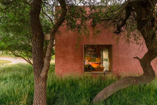 Casa BP / Santiago Berlotti - Fotografía exterior, Casas, Jardín